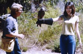 Eagles Heritage Raptor Wildlife Centre - Attractions Melbourne 2