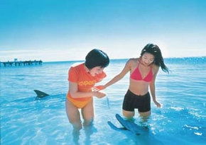  Attractions Melbourne