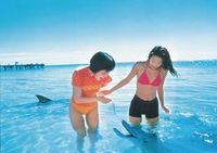 Book Cockburn Central Accommodation Vacations Attractions Melbourne Attractions Melbourne
