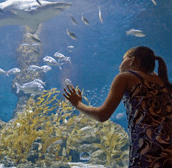 The Aquarium of Western Australia