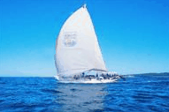  Attractions Melbourne
