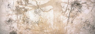 Dianne Tanzer Gallery & Projects - Attractions Melbourne 3