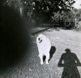 Fehily Contemporary - Attractions Melbourne 2