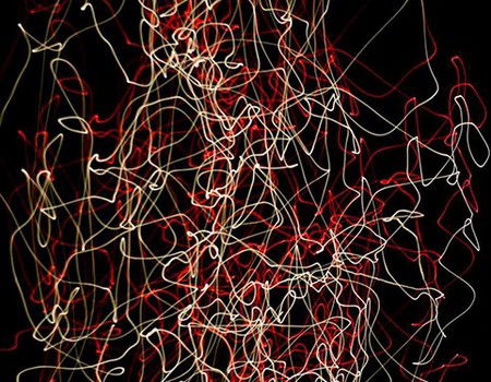 Eleven40 Gallery - Attractions Melbourne 1