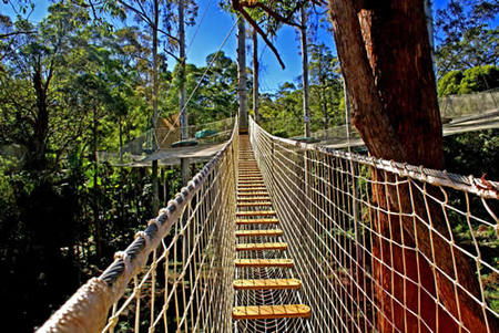  Attractions Melbourne