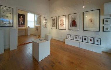 Bird's Gallery - Attractions Melbourne 0