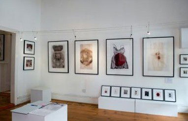 Bird's Gallery - Attractions Melbourne 1