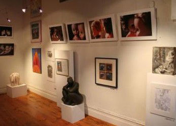Bird's Gallery - Attractions Melbourne 2