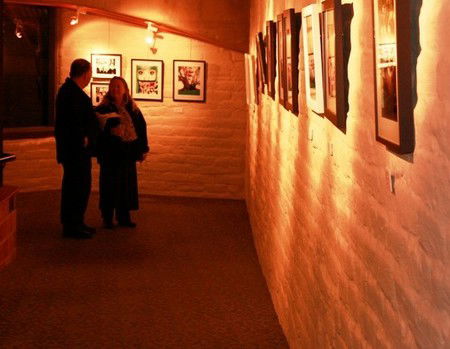 Eltham Library Community Gallery - Attractions Melbourne 1