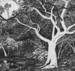 Tacit Contemporary Art - Attractions Melbourne