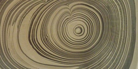 The Gallery At Bayside Arts & Cultural Centre - Attractions Melbourne 2