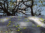 Hawthorn Studio & Gallery - Attractions Melbourne 3