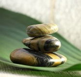 The Nature of Balance - Attractions Melbourne