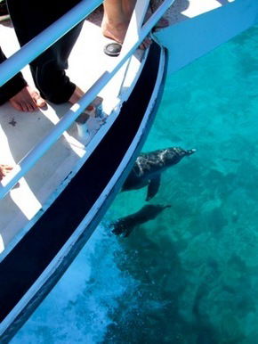 Malaga WA Attractions Melbourne