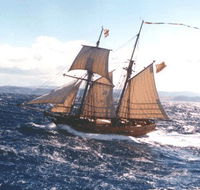 Enterprize - Melbourne's Tall Ship - Attractions Melbourne