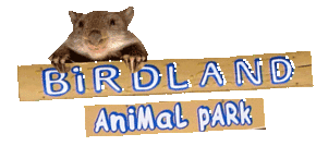 Birdland Animal Park - Attractions Melbourne