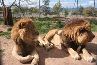 Book Mansfield Accommodation Vacations Attractions Melbourne Attractions Melbourne