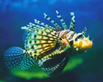 Book Mooloolaba Accommodation Vacations Attractions Melbourne Attractions Melbourne