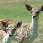Karnup WA Attractions Melbourne