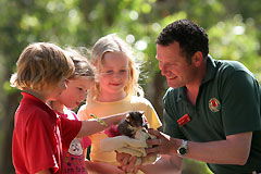  Attractions Melbourne