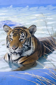  Attractions Melbourne