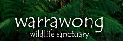 Warrawong Wildlife Park - Attractions Melbourne 0