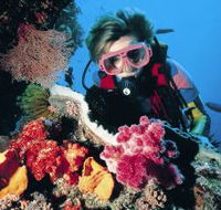 Gold Coast Seaway Dive Site - Attractions Melbourne