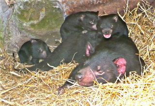 East Coast Natureworld - Attractions Melbourne 0