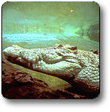 Kakadu National Park - Attractions Melbourne 1