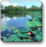 Kakadu National Park - Attractions Melbourne 3