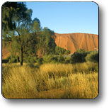  Attractions Melbourne