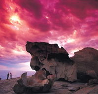 Kangaroo Island Adventure Tour 2 day/1 night - Attractions Melbourne