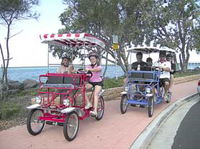 Book Hervey Bay Accommodation Vacations Attractions Melbourne Attractions Melbourne