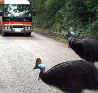 Kookaburra Tours - Attractions Melbourne