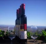 Mount Tamborine Winery  Homestead - Attractions Melbourne