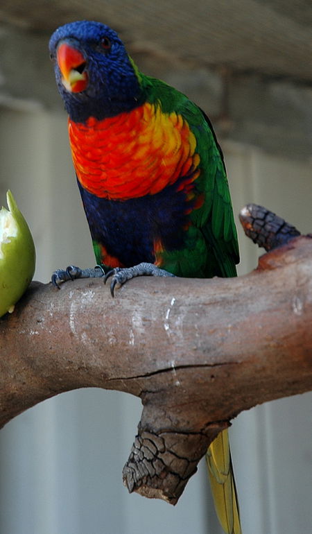 Bunbury Wildlife Park - Attractions Melbourne 3