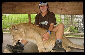 Cairns Wildlife Safari Reserve - Attractions Melbourne 1