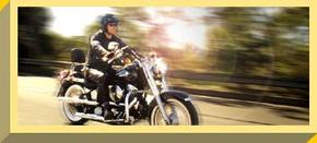 Easy Rider - Attractions Melbourne 1