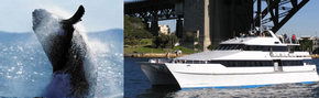 Prestige Harbour Cruises - Attractions Melbourne 3
