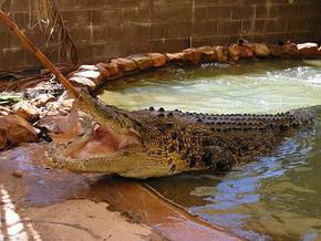  Attractions Melbourne