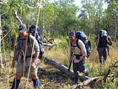Adventure Out - Attractions Melbourne 3