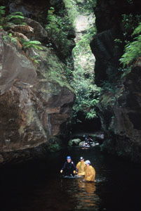 High And Wild Mountain Adventures - Attractions Melbourne 1