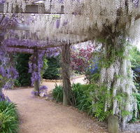 Abingdon Miniature Village - Attractions Melbourne
