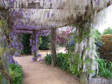 Abingdon Miniature Village - Attractions Melbourne 0