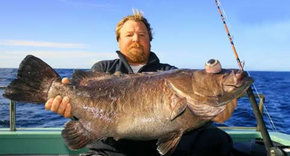 Bravo Fishing Charters - Attractions Melbourne 0