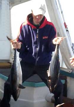 Downunder Charters - Attractions Melbourne 2