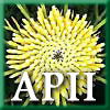 Australian National Botanic Gardens - Attractions Melbourne 1