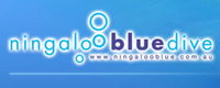 Ningaloo Blue Dive