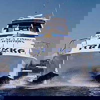 Sunshine Coast Fishing Charters - Attractions Melbourne 0