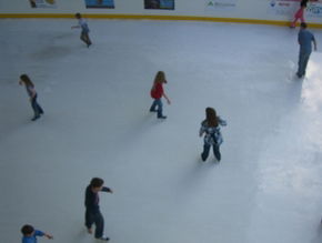 Liverpool Catholic Club Rink - Attractions Melbourne 3